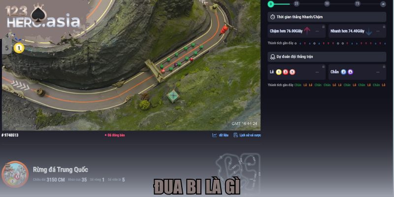 Đua bi là gì
