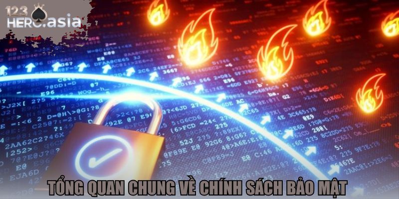 Tổng quan chung về chính sách bảo mật chuẩn 123hero